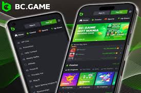 Explore the World of BC.Game Crypto Casino