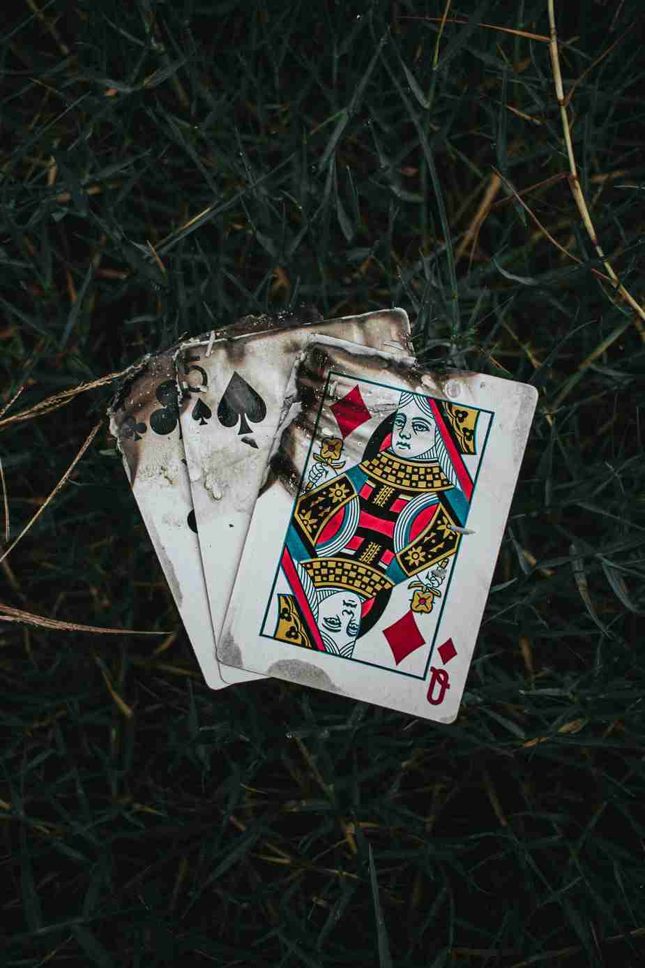 Guide Ultime des Machines à Sous au Casino MonteCrypto